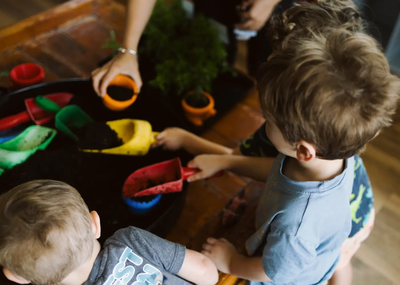 Preschoolers potting plants together with colourful trowels